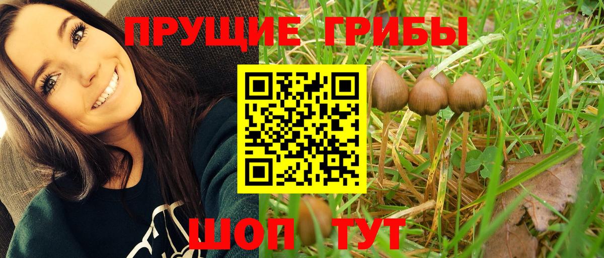 Галлюциногенные грибы Cubensis Стрежевой